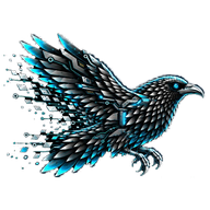 DNC Tech raven