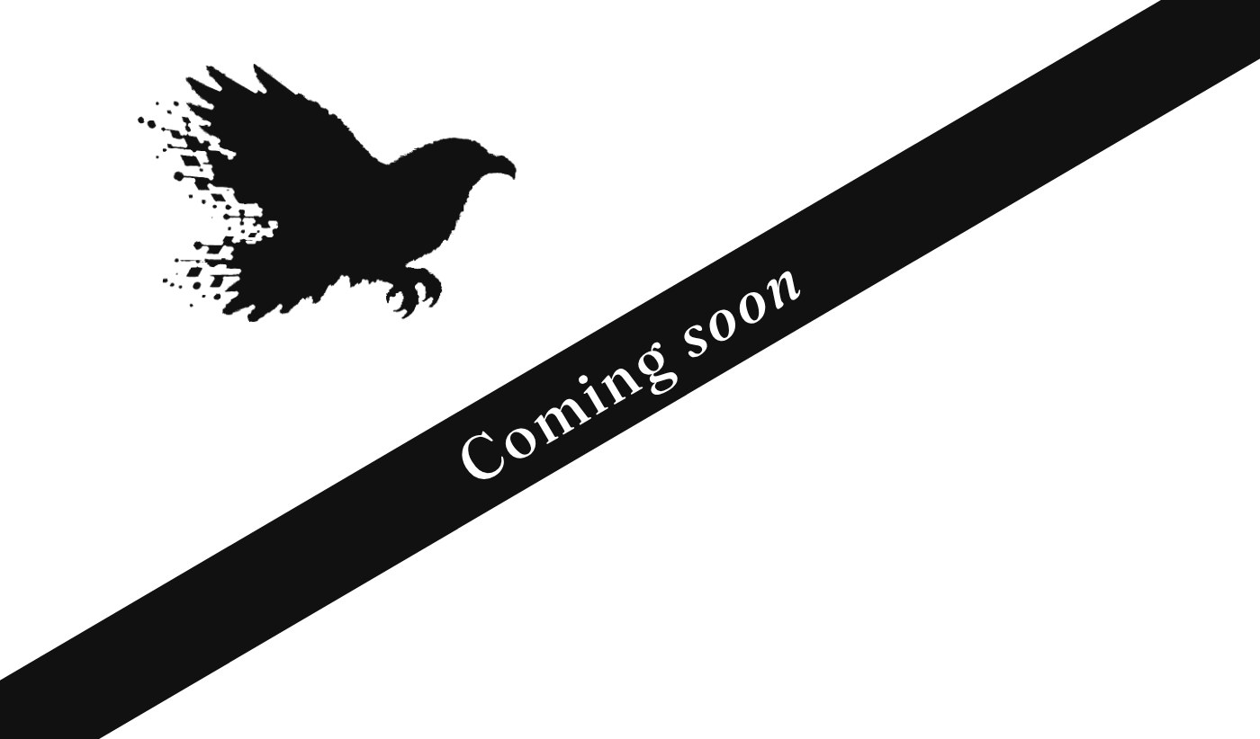 Coming soon — a DNC client build in progress